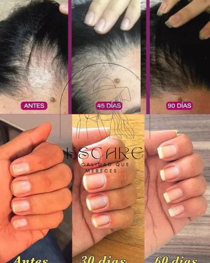 Colágeno Renova FWP